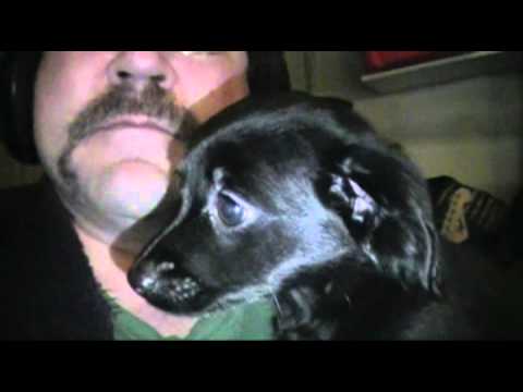 Apartment Hunting with Joko