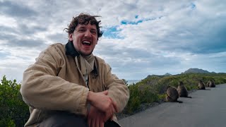 SÜDAFRIKA jetzt Video ansehen