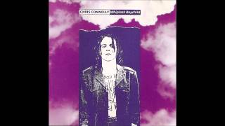 Chris Connelly - The Hawk, The Butcher, The Killer of Beauty