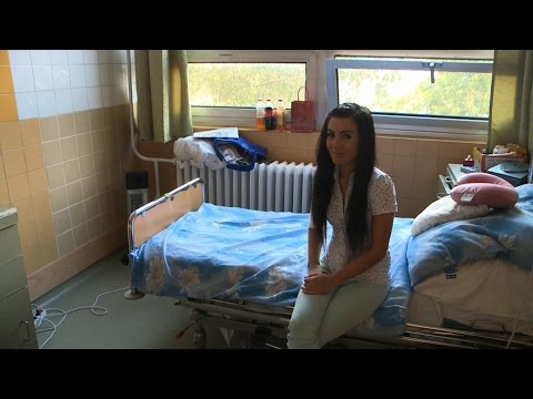 „Ha kipusztulnak a méhek, azt az emberiség legfeljebb négy évvel éli túl.” - A méhek színlátása