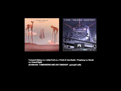 TCHAMI & MALAA VS. J-TRICK & TOM BUDIN - PROPHECY VS. HEARD RIGHT (KASKADE MASHUP)
