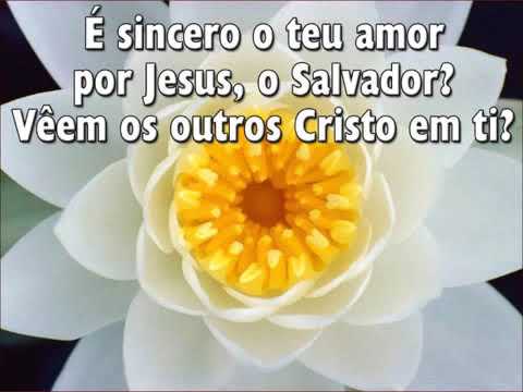 304   Veem os outros Cristo em ti