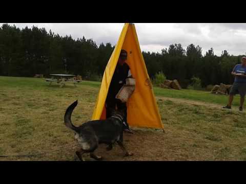 Xeva working with Frank Phillips