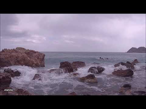 ASMR, SEA WAVES CRASHING INTO ROCKY SHORE, RAIN SOUND AND SEAGULLS  Peaceful and relaxing scenes.