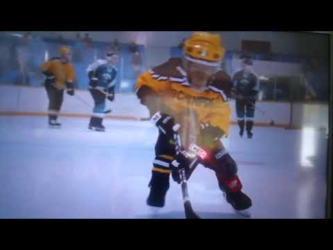 MVP Most Valuable Primate