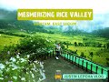 Mesmerizing Rice Valley Sikkim Justin Lepcha Vlog 2021