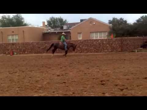 Von Reminic 2yr old gray filly out of 5x NRHA & AQHA money & point producer.