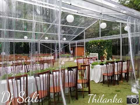 Dj Sali & Team's -Episode one-Amazing Garden Night wedding Function❤ (Milan & sumudu)❤