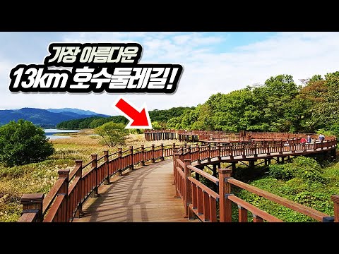 🚅 국내에서 가장 아름답다는 13km 호수 둘레길! 지금이 가장 좋아요~ | 📸 대중교통 당일치기 여행 | Korea's Most Beautiful Lake Trekking