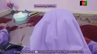 عالية الجودة