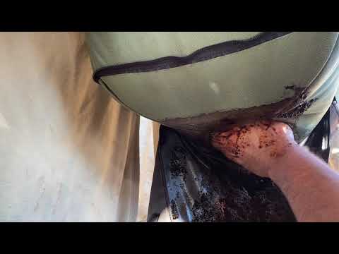 Vermibag Mammoth Harvest