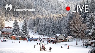 Ka-Ma Sport 🔴 Poiana Brasov Live Webcam - Partia Bradul live webcam