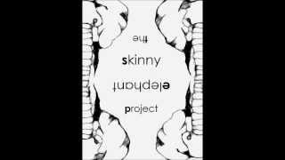 The Skinny Elephant Project - Musa