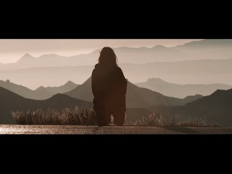 Mishlawi - Uber Driver