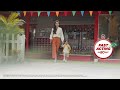 Panaflex Patch Mom English