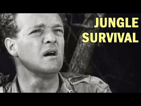 How to Survive in the Jungle | US Army Air Forces Training Film | 1944