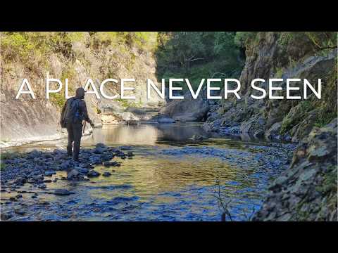 Fish Everywhere! Best Dry Fly Fishing of the Season