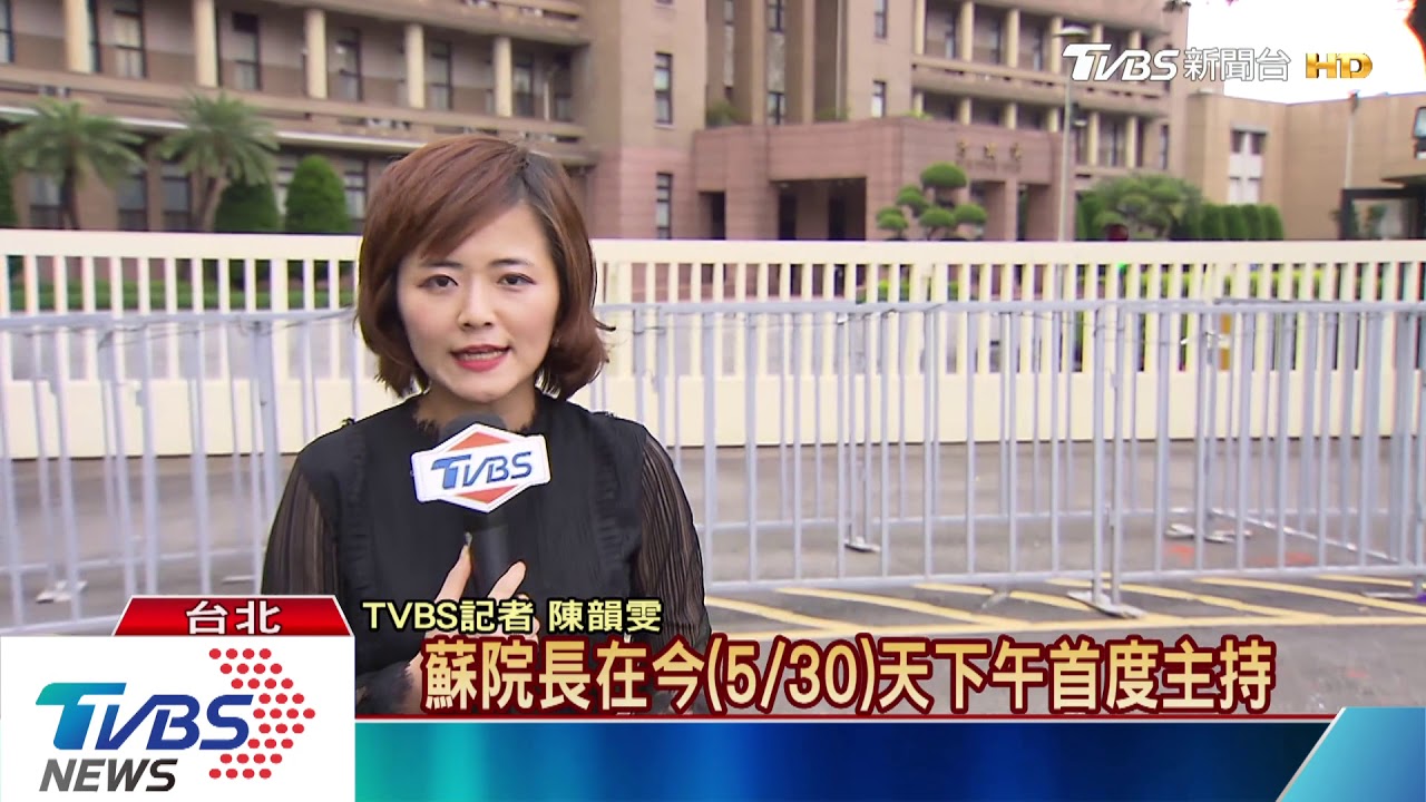搞定初選制度後 蔡總統拚國政搶連任