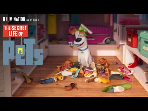 The Secret Life of Pets (TV Spot 'Super Bowl')