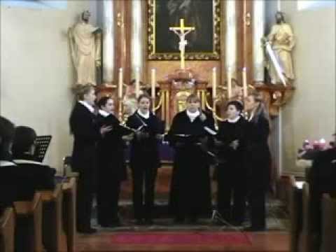 ŽVS Biseri - Zlatnih krila