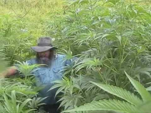 3 Grower's Lot by Kog