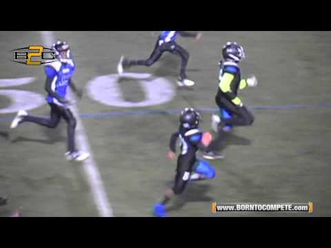 B2C: Central Dekalb Jaguars vs Hiram Hornets - 10U (B2C Championship Series)