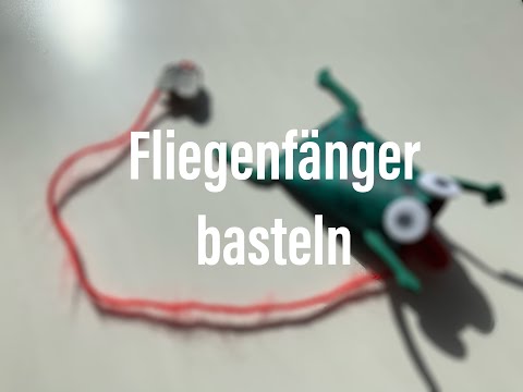 Fliegenfänger #PfadfinderZuHause