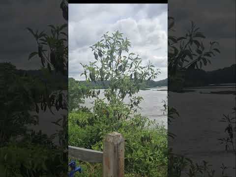 "Hum Tumko Nigahon Mein | Scenic Nature Video | Garv Song ft. Shreya Ghoshal & Udit Narayan"