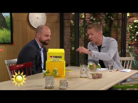 Stor förvirring under dagens trisskrap - Nyhetsmorgon (TV4)