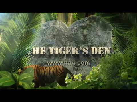 August 17th, The Trader's Edge with Steve Rhodes on TFNN - 2020