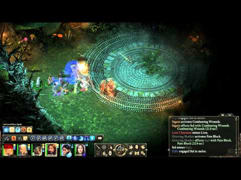 Pillars of Eternity - Sul, the lioness champion fight