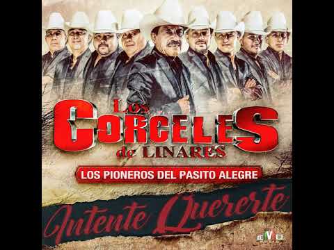 Los Corceles de  Linares- Me Dieron Ganas de Tomar
