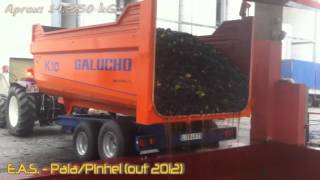 preview picture of video 'Vindima  Edgar Saraiva  Pala Galucho K10'