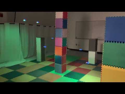 Decision-Making Among Bounded Rational Micro-Drones (DARS 2022)