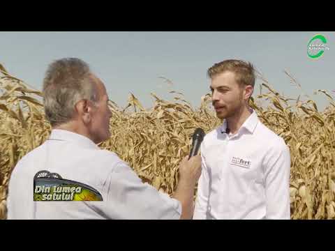 Ziua porumbului Orezu 2022