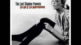 The Last Shadow Puppets - standing next to me