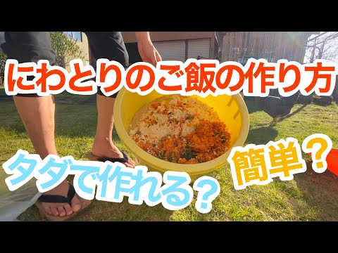 産卵鶏のために小麦を発芽させるのはなぜ利点があるのですか
