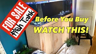 5 Aquarium Buying Tips - Before You Buy a Fish Tank - WATCH 