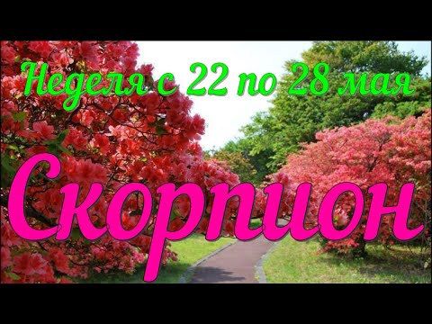 СКОРПИОН ♏️Неделя с 22 по 28 мая.