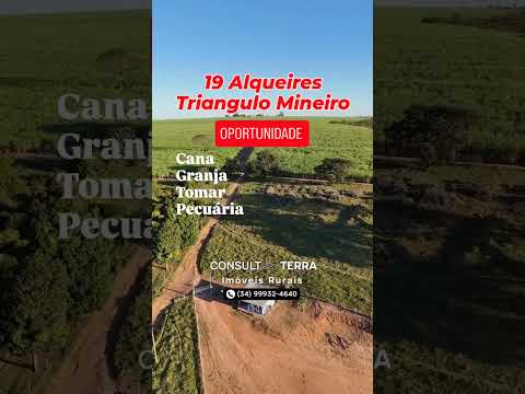 VERÍSSIMO-MG 19 Alqueires/92 Hectares. Com renda em cana, pecuária, granja e um pomar de Limão.