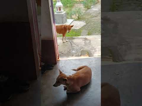 #subcribe #plz good morning