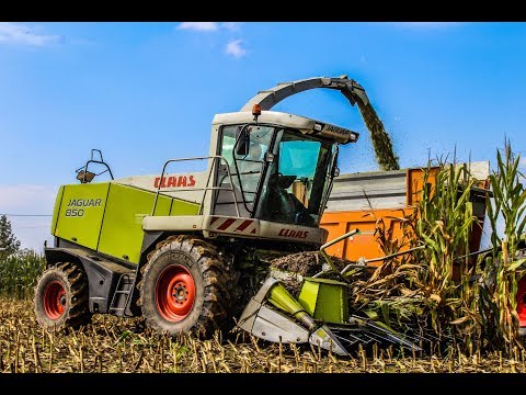 TRINCIATO MAIS | CLAAS JAGUAR 850 | AXION 820, ARION 460, SAME SILVER 100.6 + VAIA | 1080p