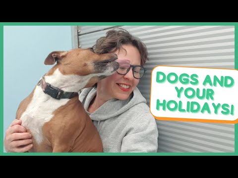 PLANNING YOUR DOG'S CARE WHILE YOU ARE ON HOLIDAY