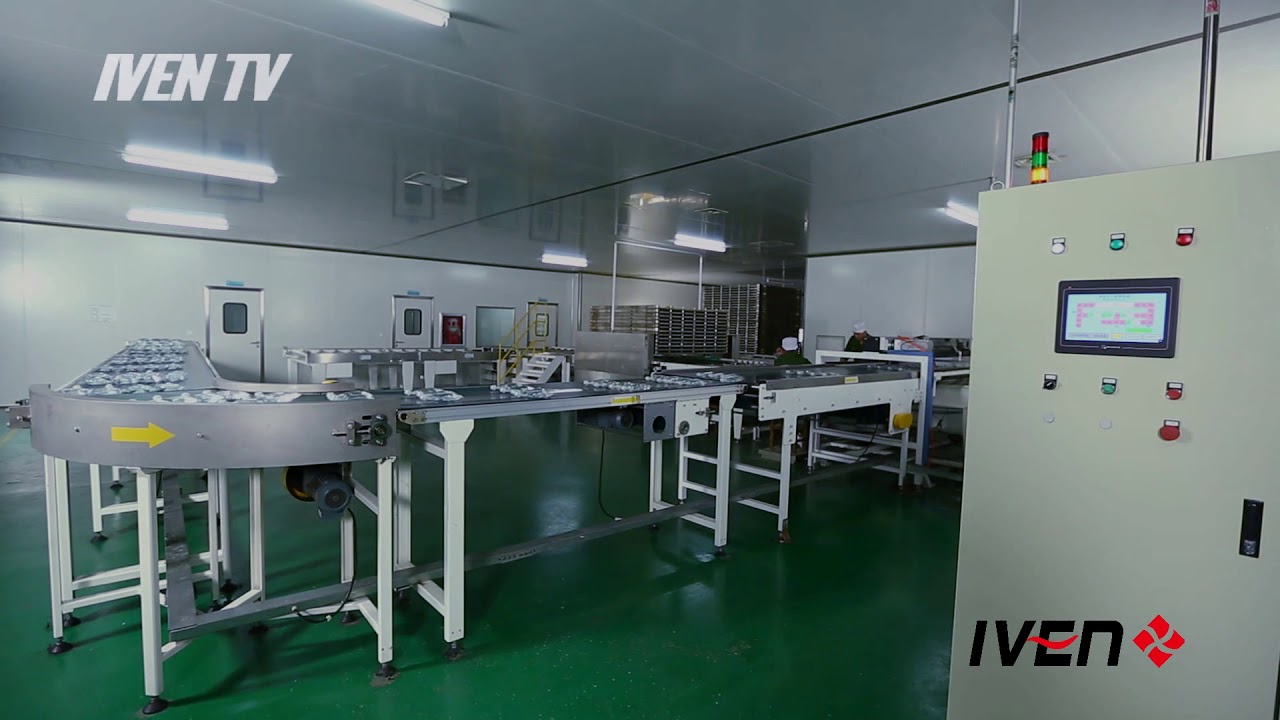 Automatic sterilizing cycle system