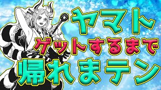 【一番くじ】ヤマトゲットまで帰れません！ワンピース vol.100ANNIVERSARY一番くじ