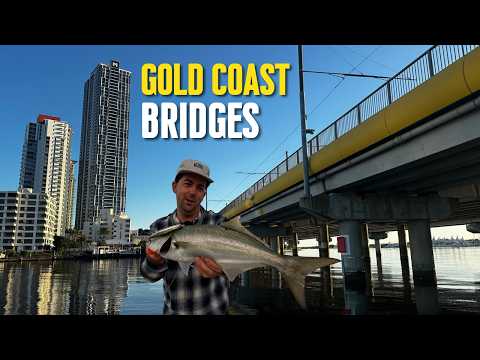 Fishing | Gold Coast Bridges