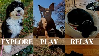 All About Puppy Camp!