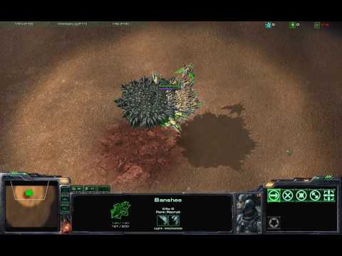 Starcraft 2 Shenanigans
