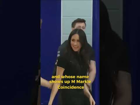 "M. Markle" Appears in Epstein's Private Jet Logs
