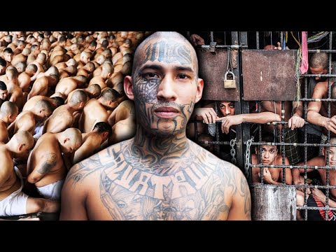 Inside The Life Of A MS-13 Gang Member